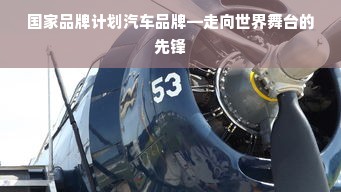 国家品牌计划汽车品牌—走向世界舞台的先锋