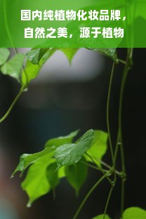 国内纯植物化妆品牌，自然之美，源于植物