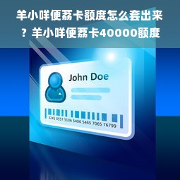 羊小咩便荔卡额度怎么套出来？羊小咩便荔卡40000额度