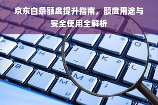 京东白条额度提升指南，额度用途与安全使用全解析