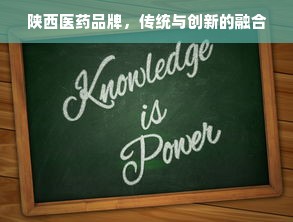 陕西医药品牌，传统与创新的融合