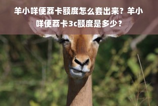 羊小咩便荔卡额度怎么套出来？羊小咩便荔卡3c额度是多少？