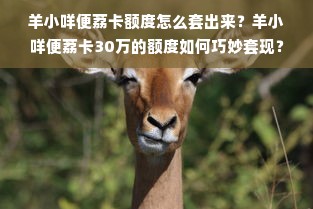 羊小咩便荔卡额度怎么套出来？羊小咩便荔卡30万的额度如何巧妙套现？