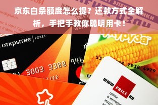 京东白条额度怎么提？还款方式全解析，手把手教你聪明用卡！