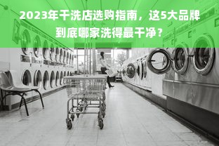 2023年干洗店选购指南，这5大品牌到底哪家洗得最干净？