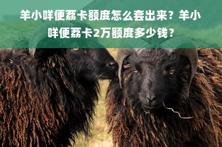 羊小咩便荔卡额度怎么套出来？羊小咩便荔卡2万额度多少钱？