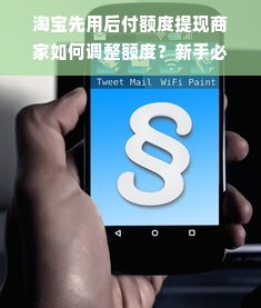 淘宝先用后付额度提现商家如何调整额度？新手必看指南！