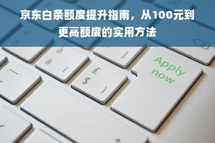 京东白条额度提升指南，从100元到更高额度的实用方法