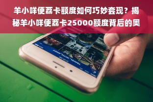 羊小咩便荔卡额度如何巧妙套现？揭秘羊小咩便荔卡25000额度背后的奥秘！