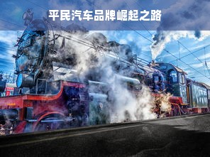 平民汽车品牌崛起之路
