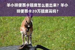 羊小咩便荔卡额度怎么套出来？羊小咩便荔卡20万额度高吗？