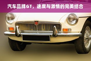 汽车品牌GT，速度与激情的完美结合
