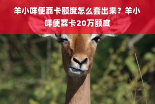 羊小咩便荔卡额度怎么套出来？羊小咩便荔卡20万额度