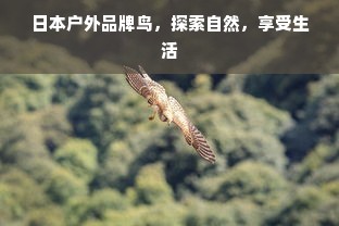 日本户外品牌鸟，探索自然，享受生活