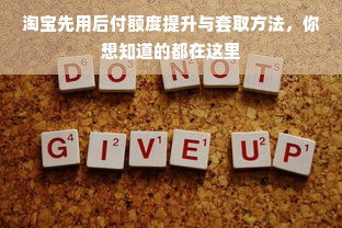 淘宝先用后付额度提升与套取方法，你想知道的都在这里