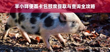 羊小咩便荔卡包额度提取与查询全攻略