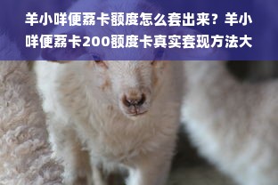 羊小咩便荔卡额度怎么套出来？羊小咩便荔卡200额度卡真实套现方法大揭秘