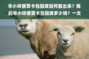 羊小咩便荔卡包额度如何套出来？我的羊小咩便荔卡包额度多少钱？一文全解