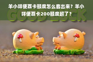 羊小咩便荔卡额度怎么套出来？羊小咩便荔卡200额度超了？