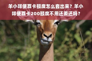 羊小咩便荔卡额度怎么套出来？羊小咩便荔卡200额度不用还要还吗？