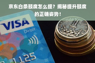 京东白条额度怎么提？揭秘提升额度的正确姿势！