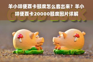 羊小咩便荔卡额度怎么套出来？羊小咩便荔卡20000额度图片详解