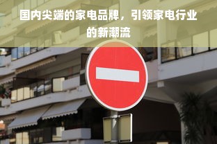 国内尖端的家电品牌，引领家电行业的新潮流