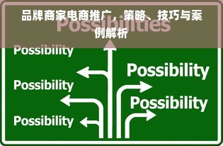 品牌商家电商推广，策略、技巧与案例解析