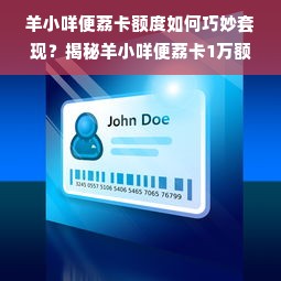 羊小咩便荔卡额度如何巧妙套现？揭秘羊小咩便荔卡1万额度背后的真相！