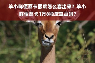 羊小咩便荔卡额度怎么套出来？羊小咩便荔卡1万8额度算高吗？