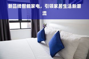 新品牌智能家电，引领家居生活新潮流