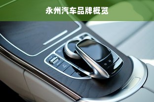 永州汽车品牌概览