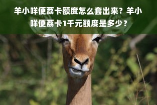 羊小咩便荔卡额度怎么套出来？羊小咩便荔卡1千元额度是多少？