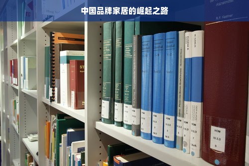 中国品牌家居的崛起之路