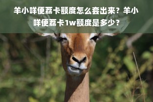 羊小咩便荔卡额度怎么套出来？羊小咩便荔卡1w额度是多少？