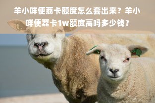 羊小咩便荔卡额度怎么套出来？羊小咩便荔卡1w额度高吗多少钱？