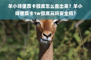 羊小咩便荔卡额度怎么套出来？羊小咩便荔卡1w额度高吗安全吗？