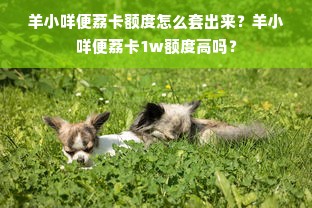 羊小咩便荔卡额度怎么套出来？羊小咩便荔卡1w额度高吗？