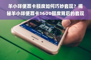 羊小咩便荔卡额度如何巧妙套现？揭秘羊小咩便荔卡1600额度背后的套现技巧
