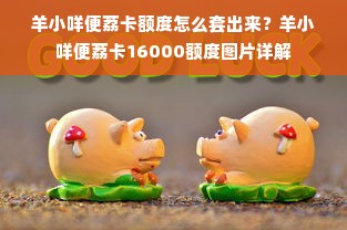 羊小咩便荔卡额度怎么套出来？羊小咩便荔卡16000额度图片详解