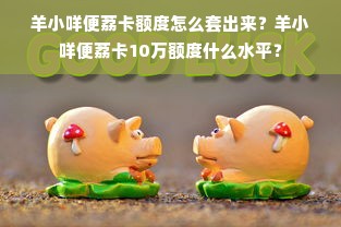 羊小咩便荔卡额度怎么套出来？羊小咩便荔卡10万额度什么水平？