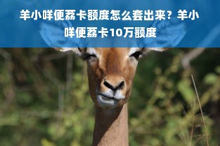 羊小咩便荔卡额度怎么套出来？羊小咩便荔卡10万额度