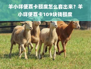 羊小咩便荔卡额度怎么套出来？羊小咩便荔卡109块钱额度