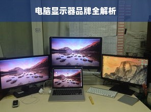 电脑显示器品牌全解析