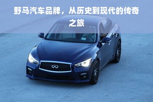野马汽车品牌，从历史到现代的传奇之旅