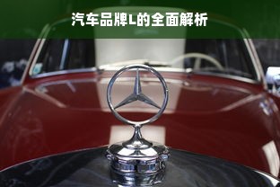汽车品牌L的全面解析