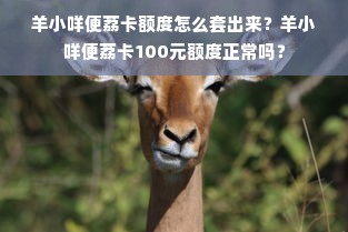 羊小咩便荔卡额度怎么套出来？羊小咩便荔卡100元额度正常吗？