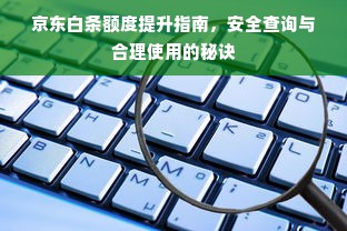 京东白条额度提升指南，安全查询与合理使用的秘诀