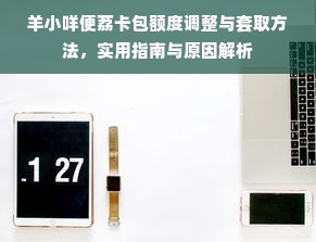 羊小咩便荔卡包额度调整与套取方法，实用指南与原因解析