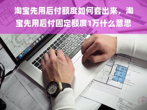淘宝先用后付额度如何套出来，淘宝先用后付固定额度1万什么意思